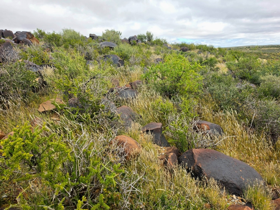 Commercial Property for Sale in Carnarvon Rural Northern Cape